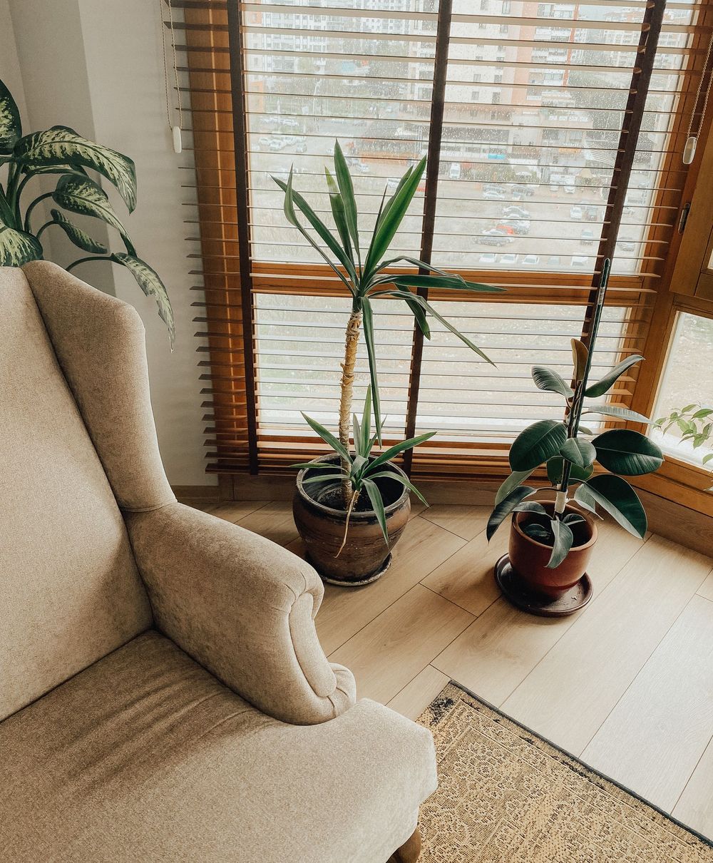 Sillón junto a una ventana con plantas